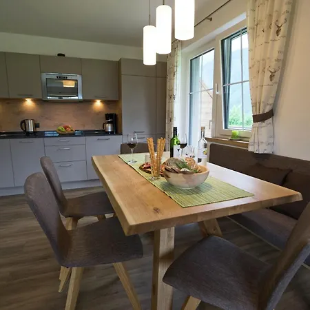 Apartman Flat Near Four Lifts In Mayrhofen