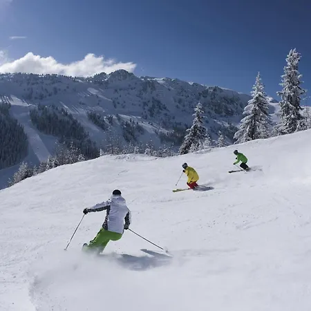 Flat Near Four Lifts In Апартаменты Майрхофен